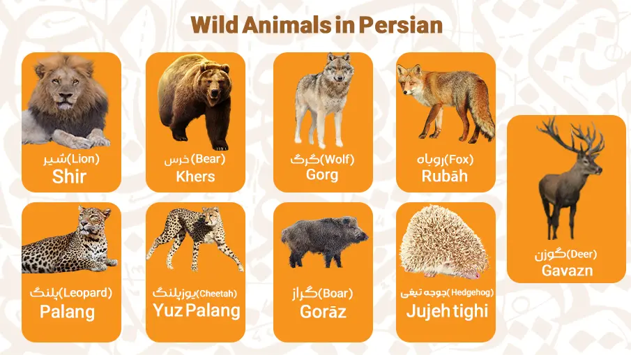 Wild Animals in Persian