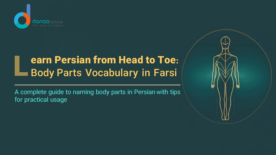 Body Parts in Persian