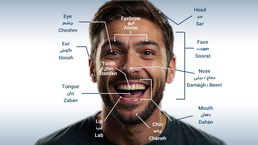 Head and Facial Features in Farsi